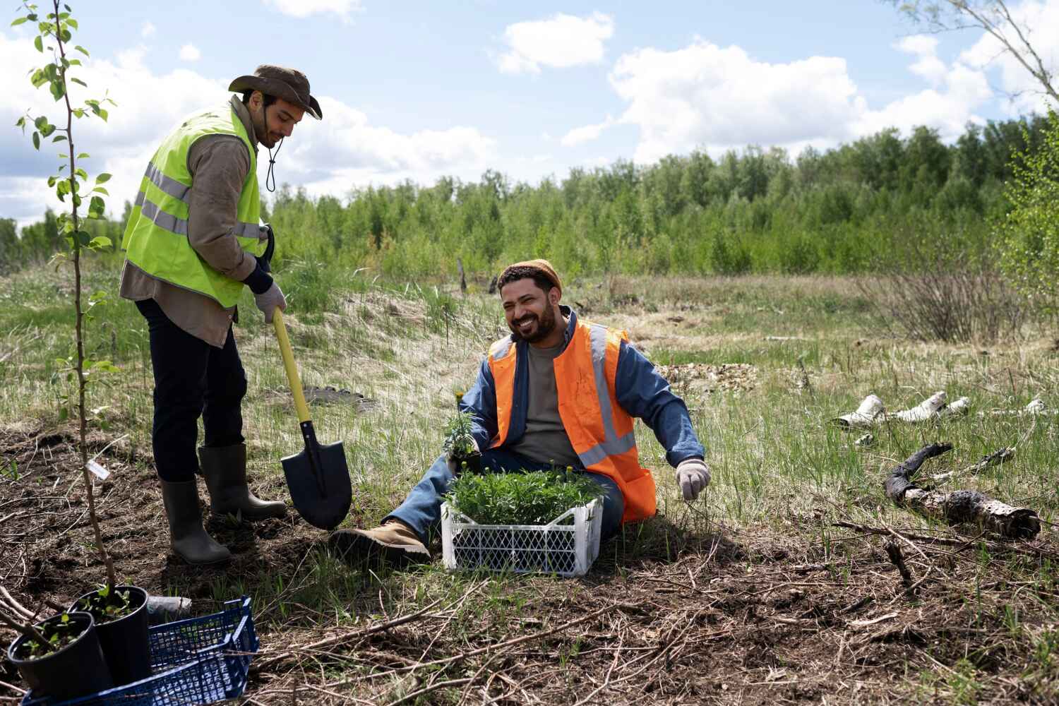 Reliable North Chicago, IL Tree Service Solutions